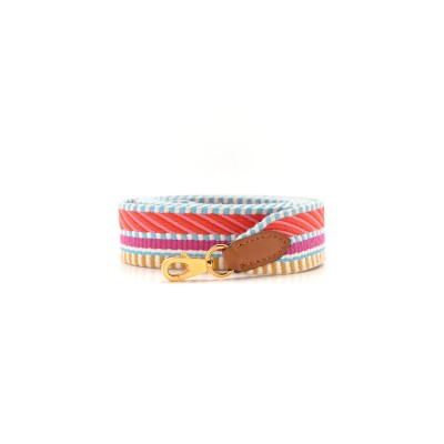 HERMES STRAP TOILE SWIFT 25MM SANGLE CAVALE SHOULDER MAGNOLIA CAPUCINE GOLD